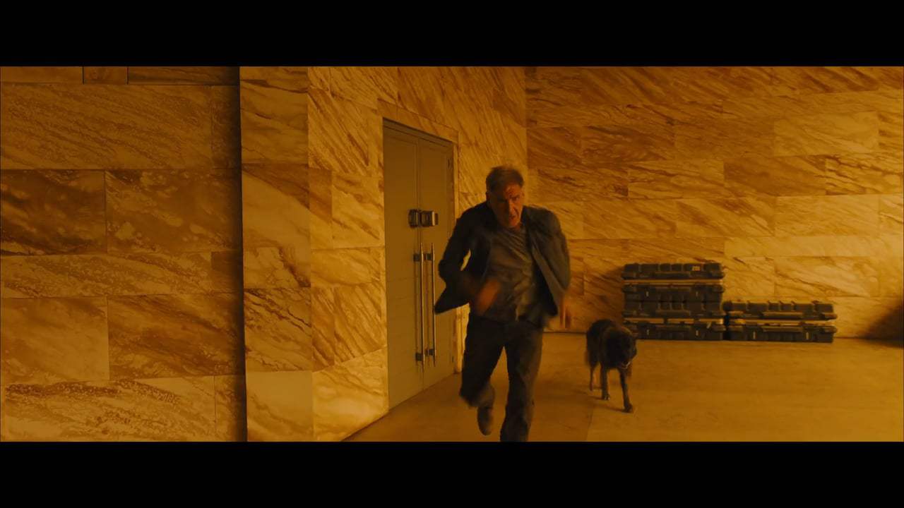 Blade Runner 2049 Vignette - Denis Villeneuve (2017) Screen Capture #3