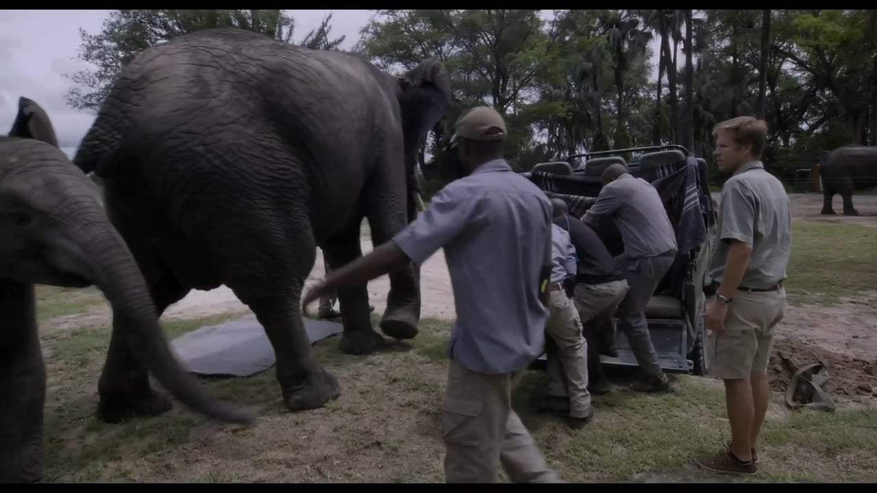 Naledi: A Baby Elephant's Tale Trailer (2017) Screen Capture #3