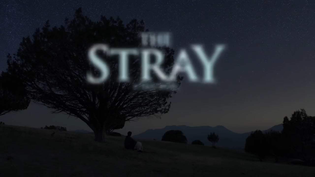 The Stray Trailer (2017) Screen Capture #4