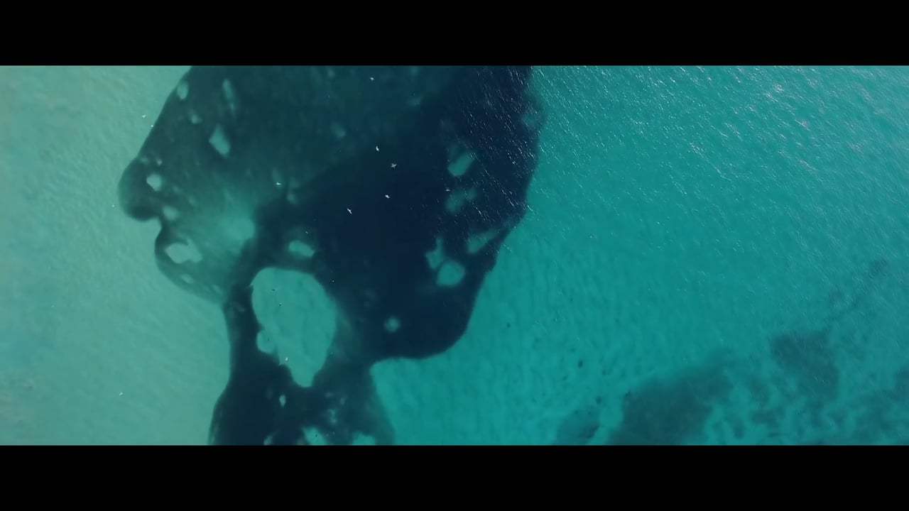 Blue Trailer (2017) Screen Capture #1