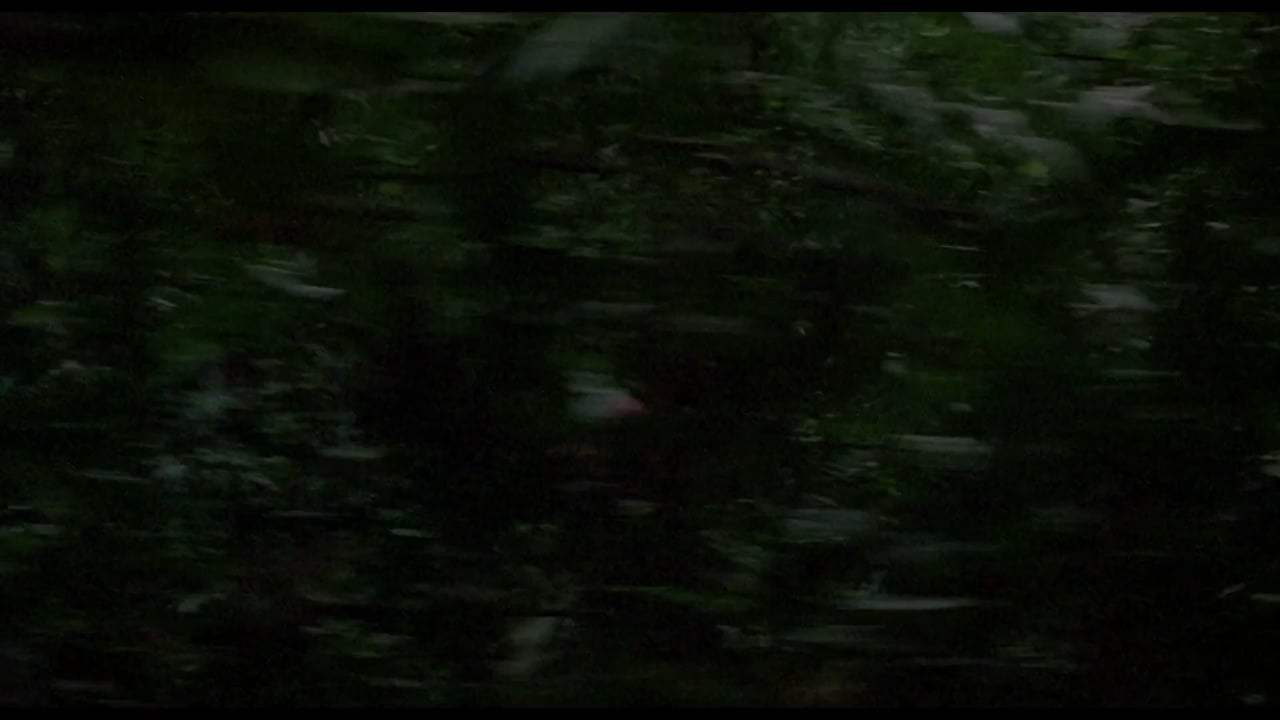 Predator 30th Anniversary Trailer (1987) Screen Capture #1