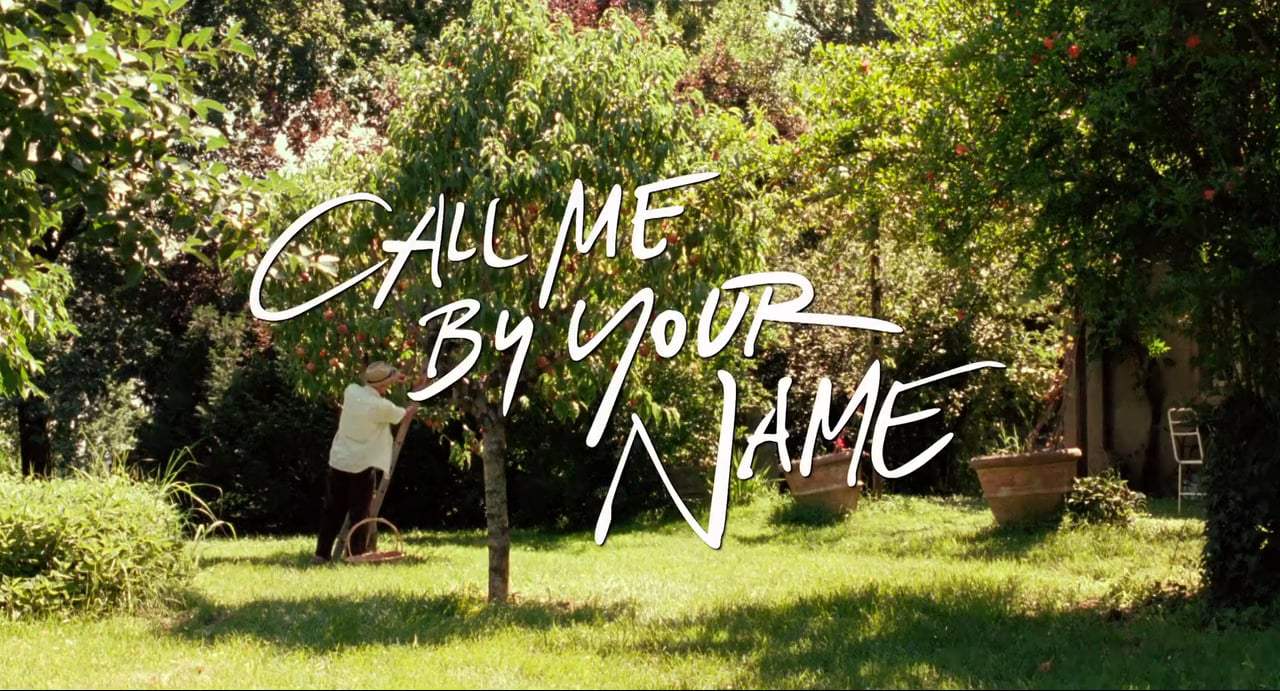 Call Me by Your Name TV Spot - Spellbinding (2017) Screen Capture #4