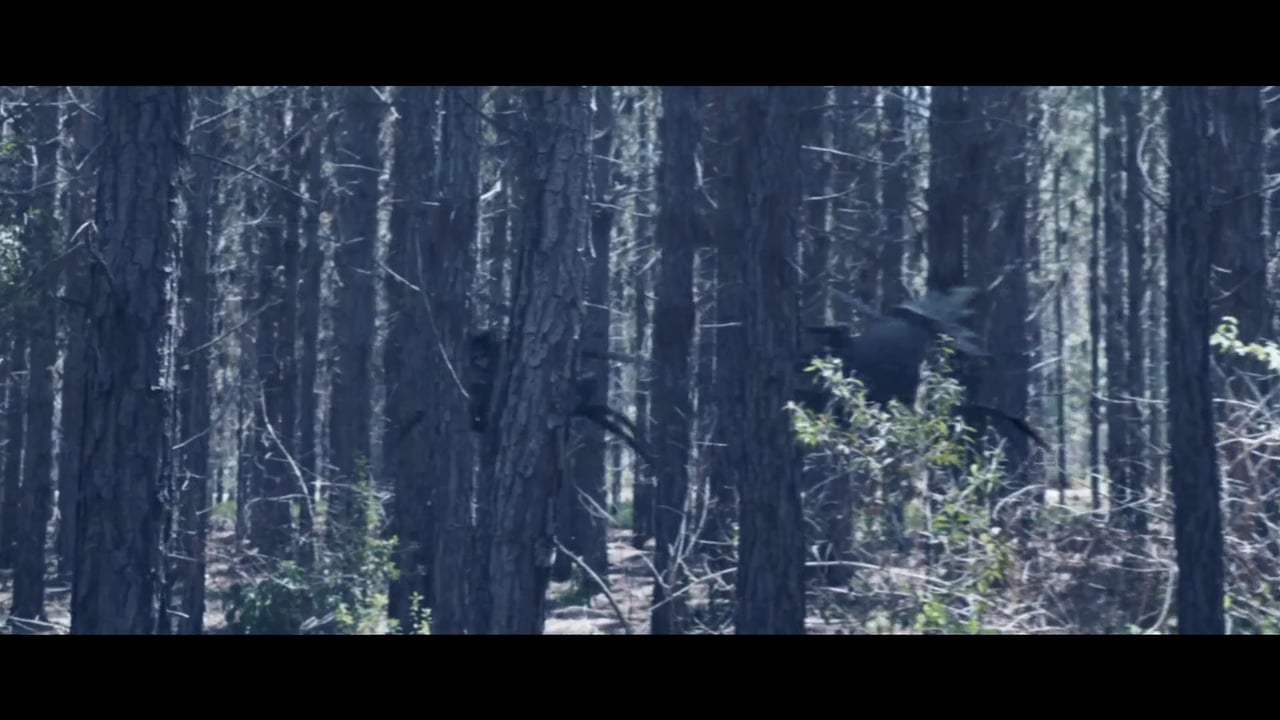 Battalion Trailer (2018) Screen Capture #3
