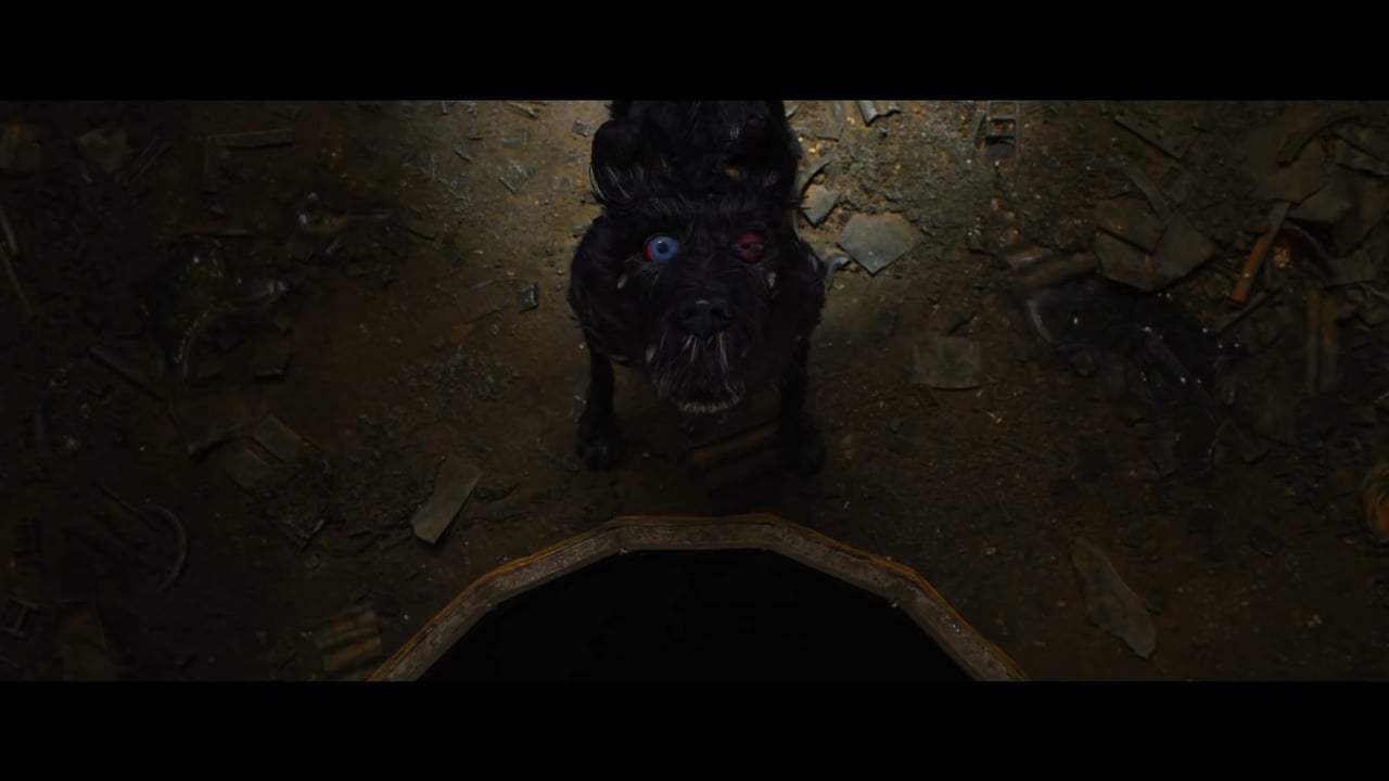 Isle of Dogs (2018) - You're Nutmeg Screen Capture #2