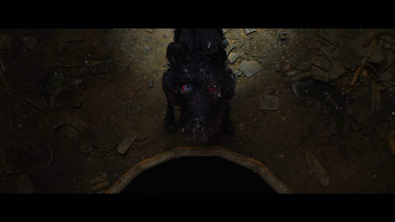 Isle of Dogs (2018) - You're Nutmeg Screen Capture #3