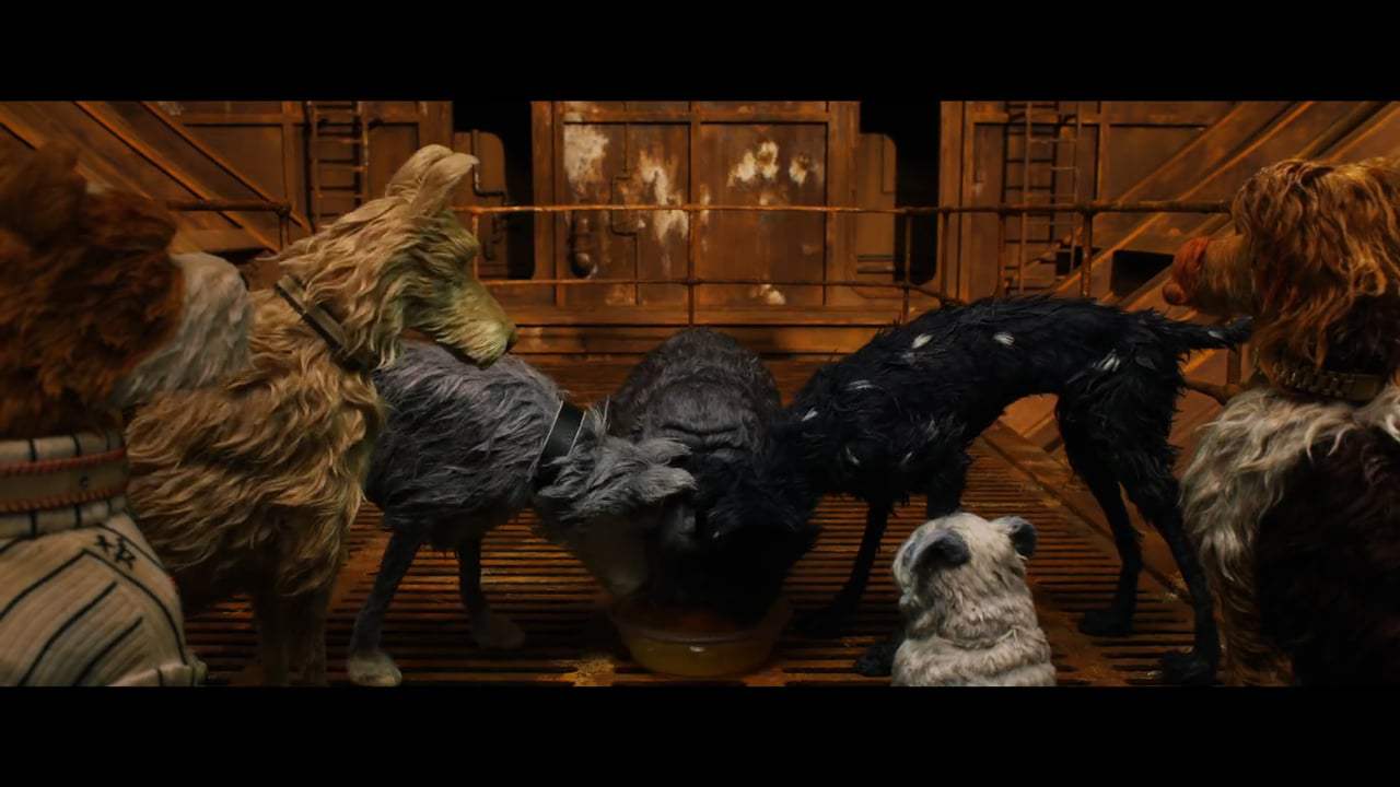 Isle of Dogs (2018) - Dog Zero Screen Capture #1