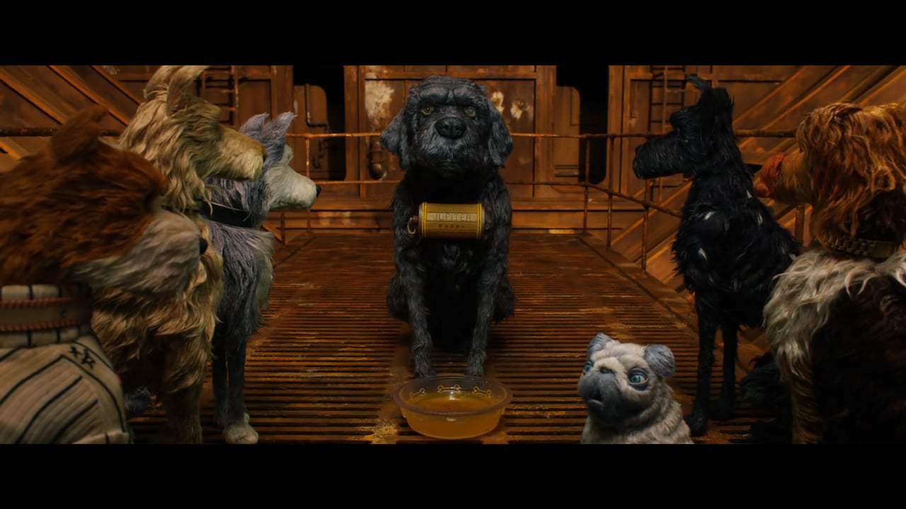Isle of Dogs (2018) - Dog Zero Screen Capture #2