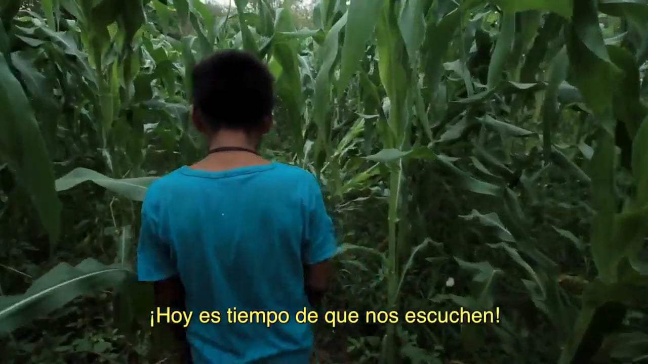 Tecuani, Hombre Jaguar Trailer (2018) Screen Capture #2