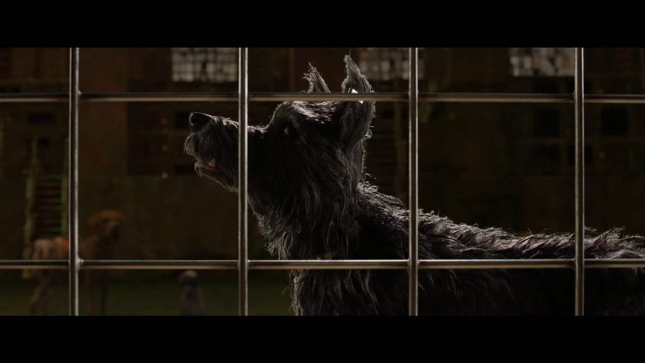 Isle of Dogs TV Spot - I Love Dogs (2018) Screen Capture #3