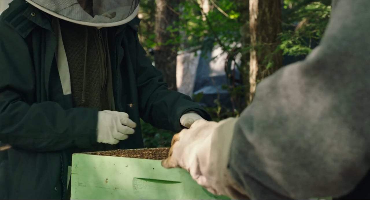 Leave No Trace (2018) - Warmth of the Hive Screen Capture #2