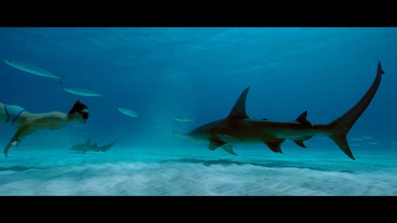 Sharkwater Extinction Trailer (2018) Screen Capture #1