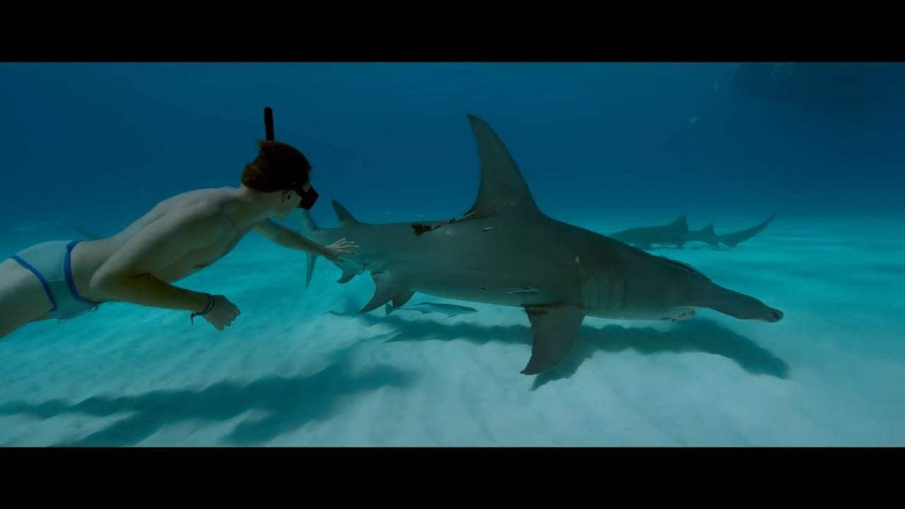 Sharkwater Extinction Trailer (2018) Screen Capture #4