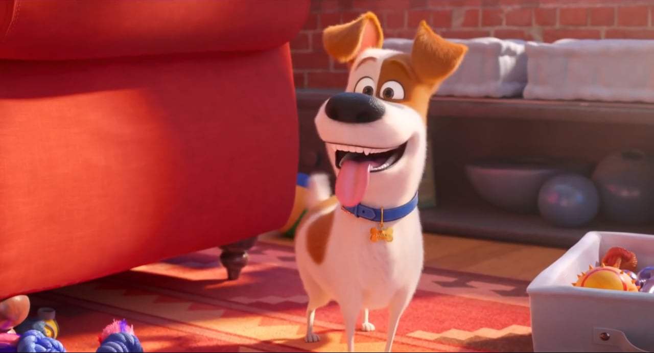 The Secret Life of Pets 2 Teaser Trailer (2019) Screen Capture #1