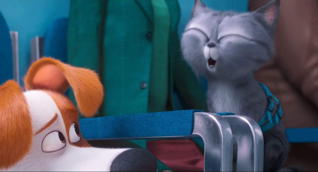 The Secret Life of Pets 2 Teaser Trailer (2019) Screen Capture #2