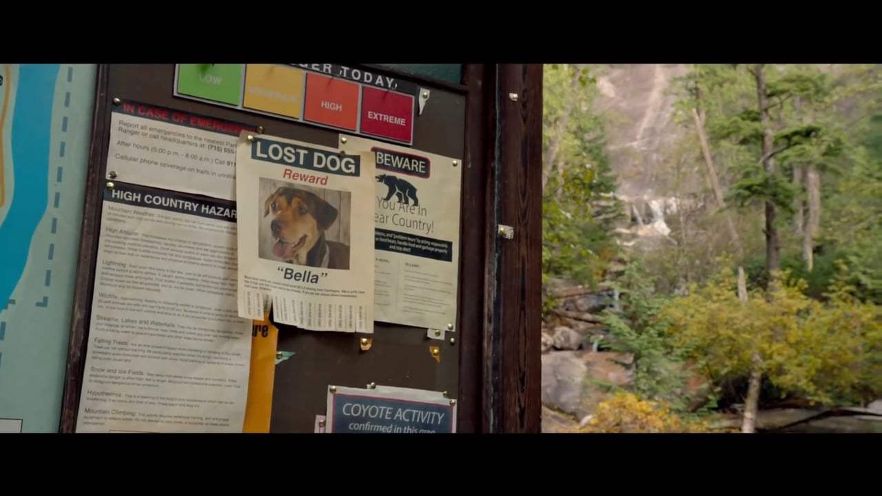 A Dog's Way Home International Trailer (2019) Screen Capture #2