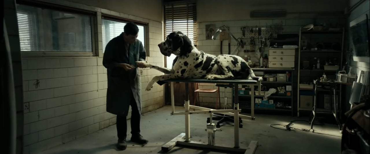 Dogman Trailer (2019) Screen Capture #1