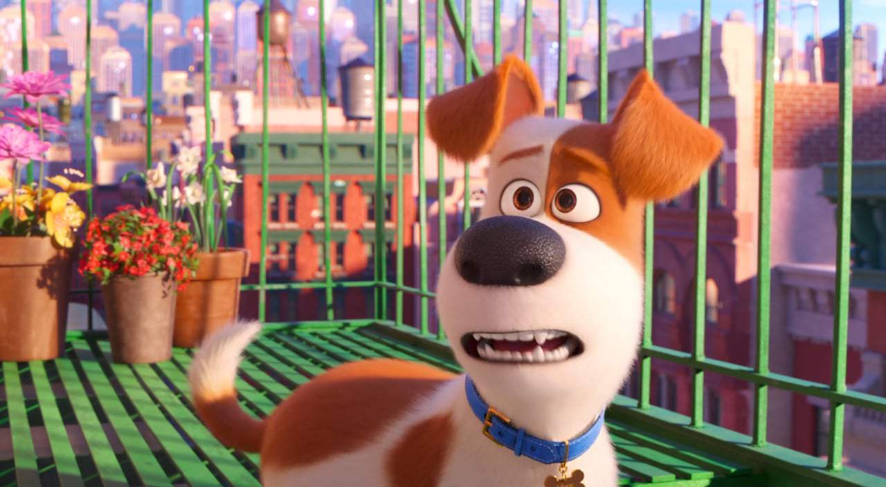 The Secret Life of Pets 2 Theatrical Trailer (2019) Screen Capture #3