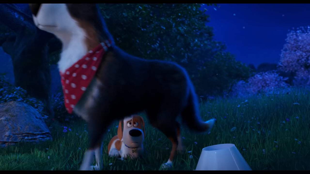 The Secret Life of Pets 2 Final Trailer (2019) Screen Capture #2