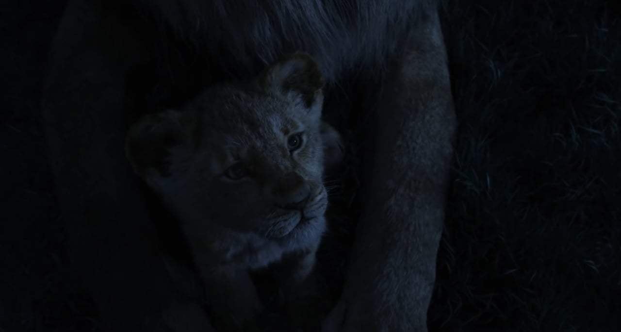 The Lion King TV Spot - Can You Feel the Love Tonight (2019) Screen Capture #2