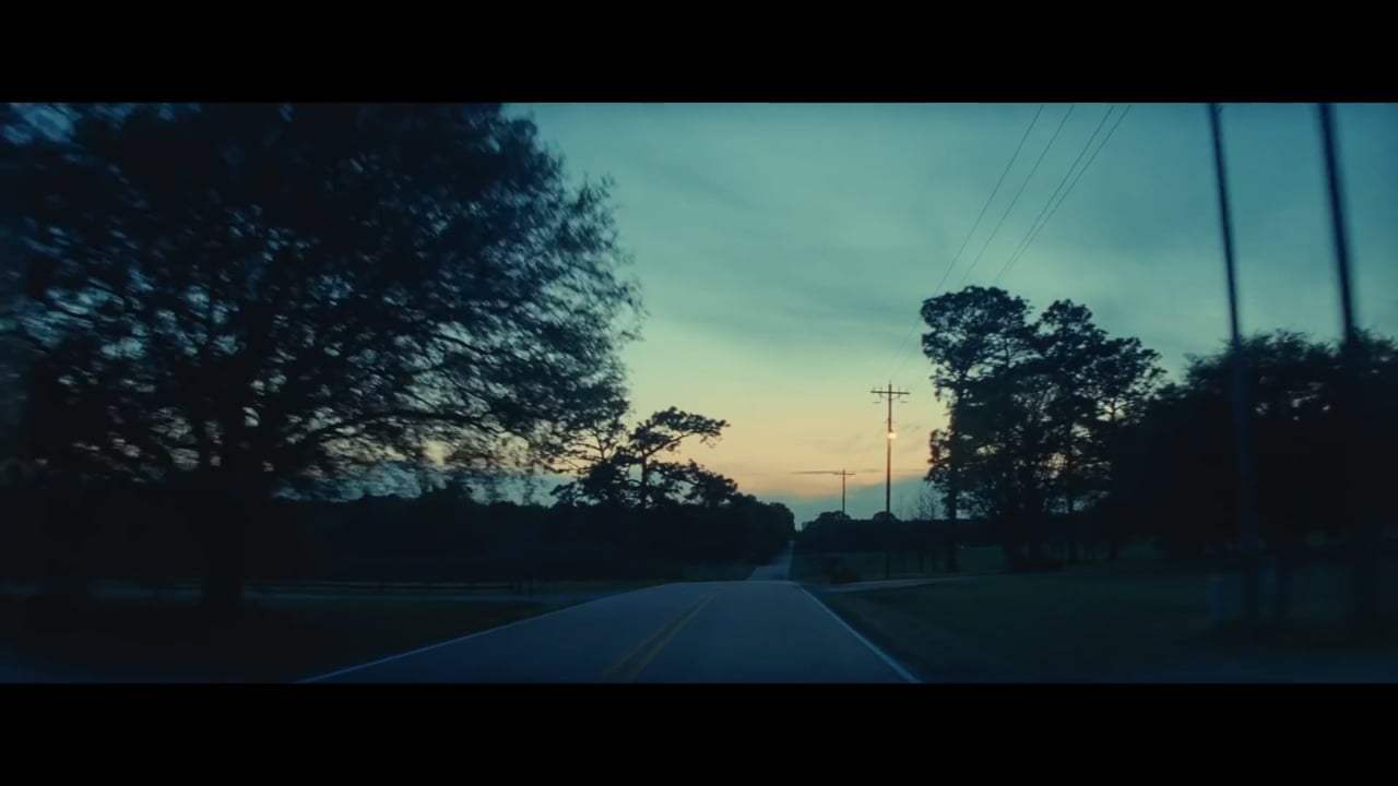 Queen & Slim Trailer (2019) Screen Capture #2