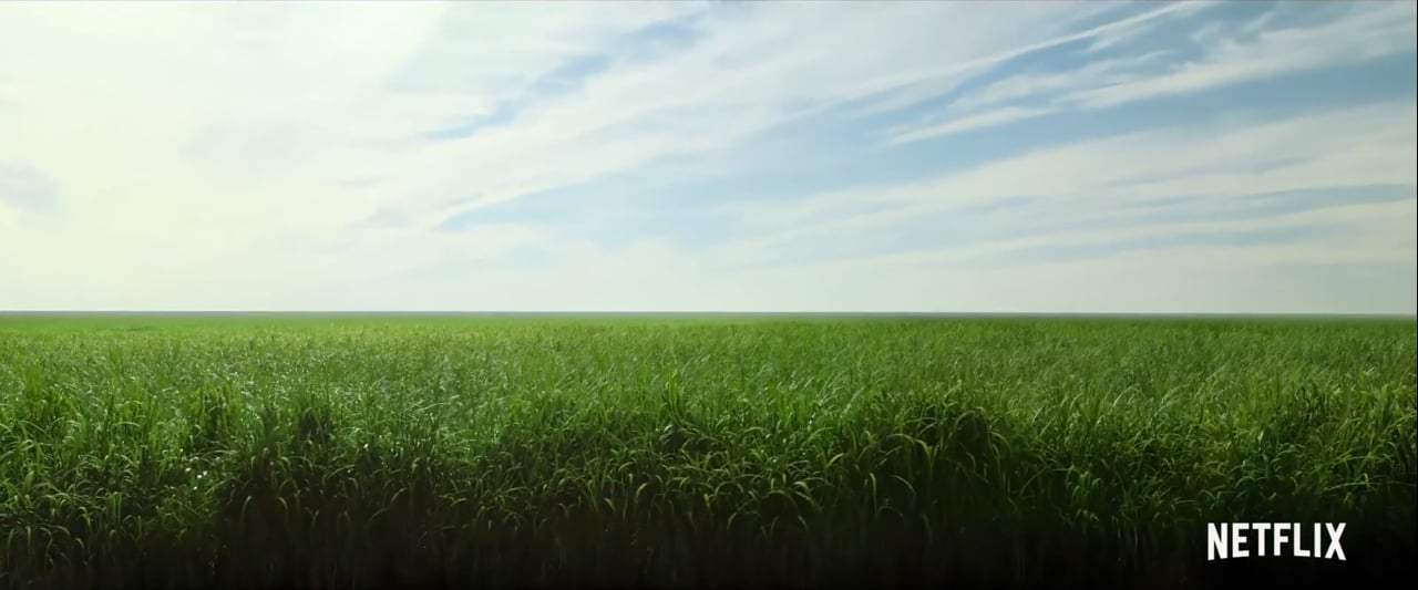 In the Tall Grass Trailer (2019) Screen Capture #1
