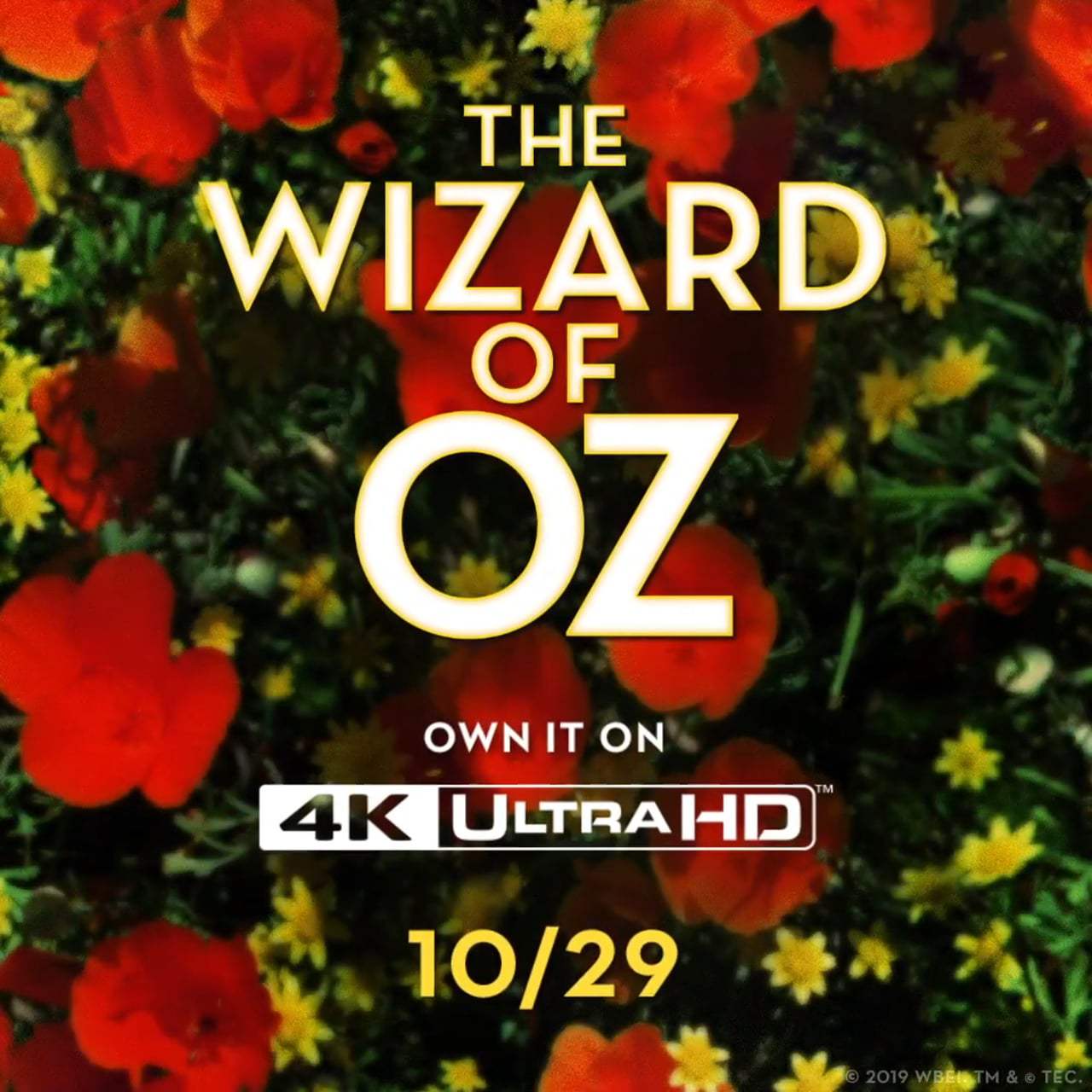 The Wizard Of Oz TV Spot - 4K Announcement (1939) Screen Capture #4