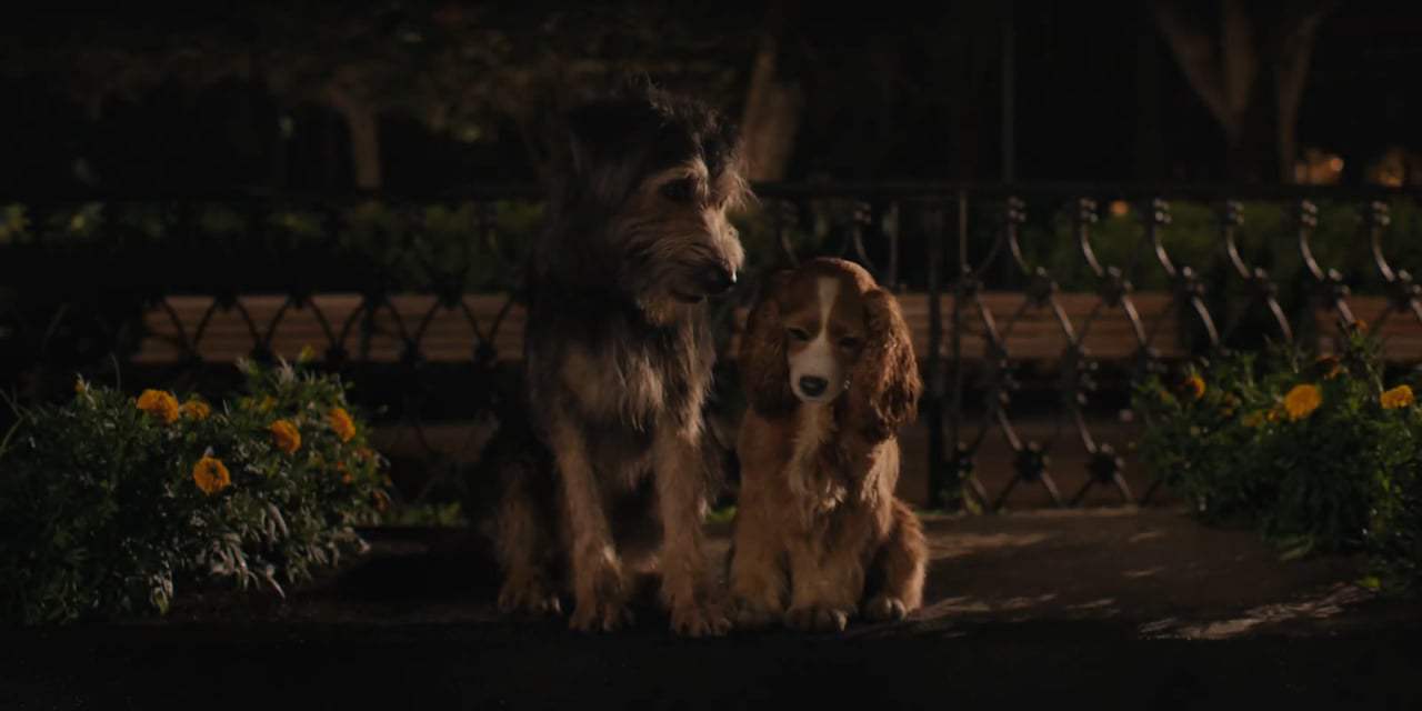Lady and the Tramp Theatrical Trailer (2019) Screen Capture #4
