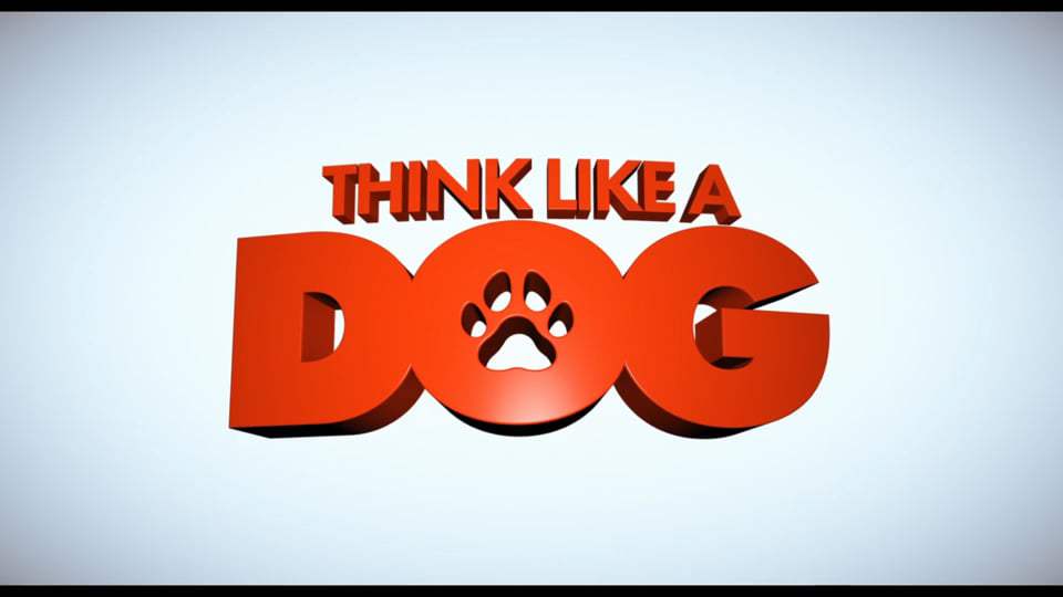 Think Like a Dog Trailer (2020) Screen Capture #4