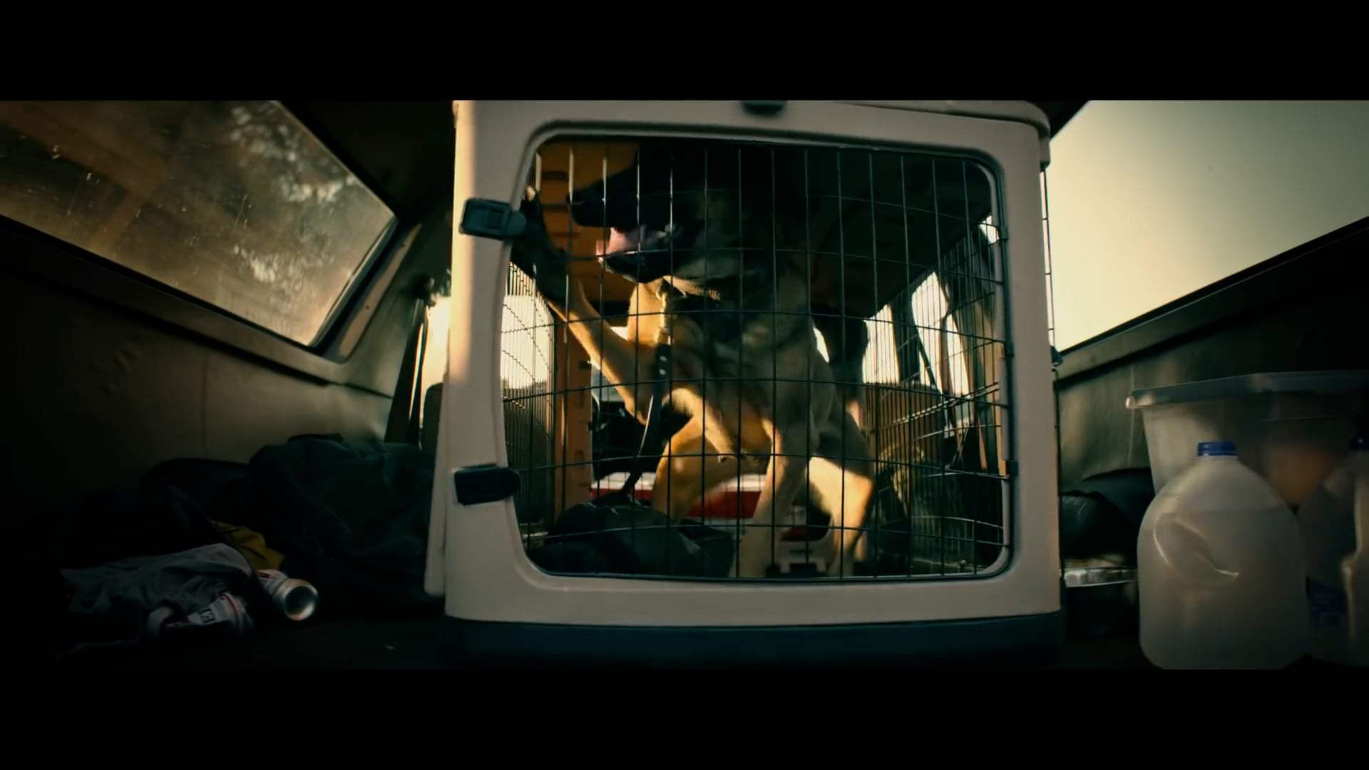 Dog Trailer (2022) Screen Capture #2