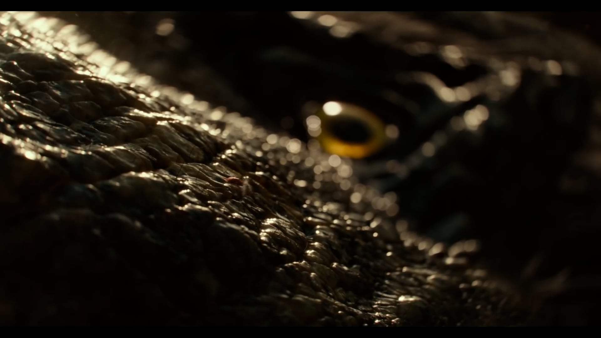 Jurassic World Dominion Prologue Teaser Trailer (2022) Screen Capture #3