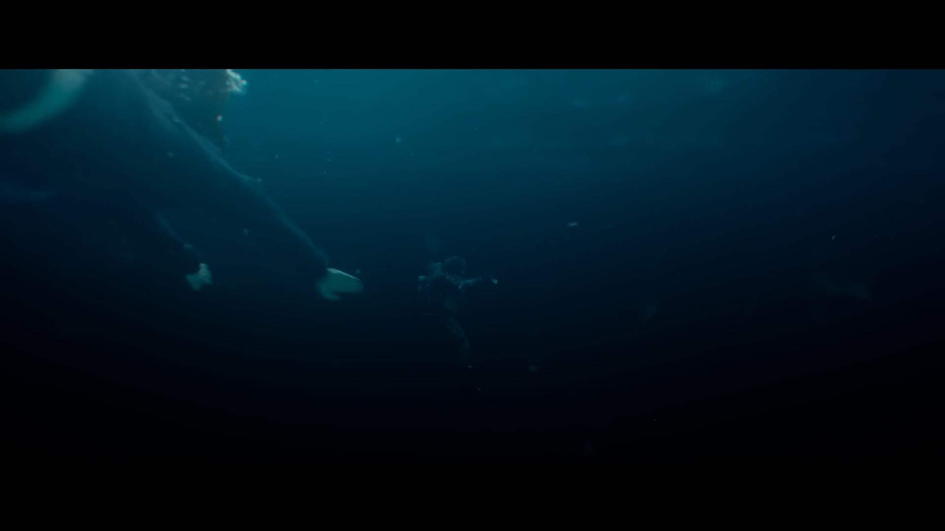 Black Crab Trailer (2022) Ekran Yakalama #4