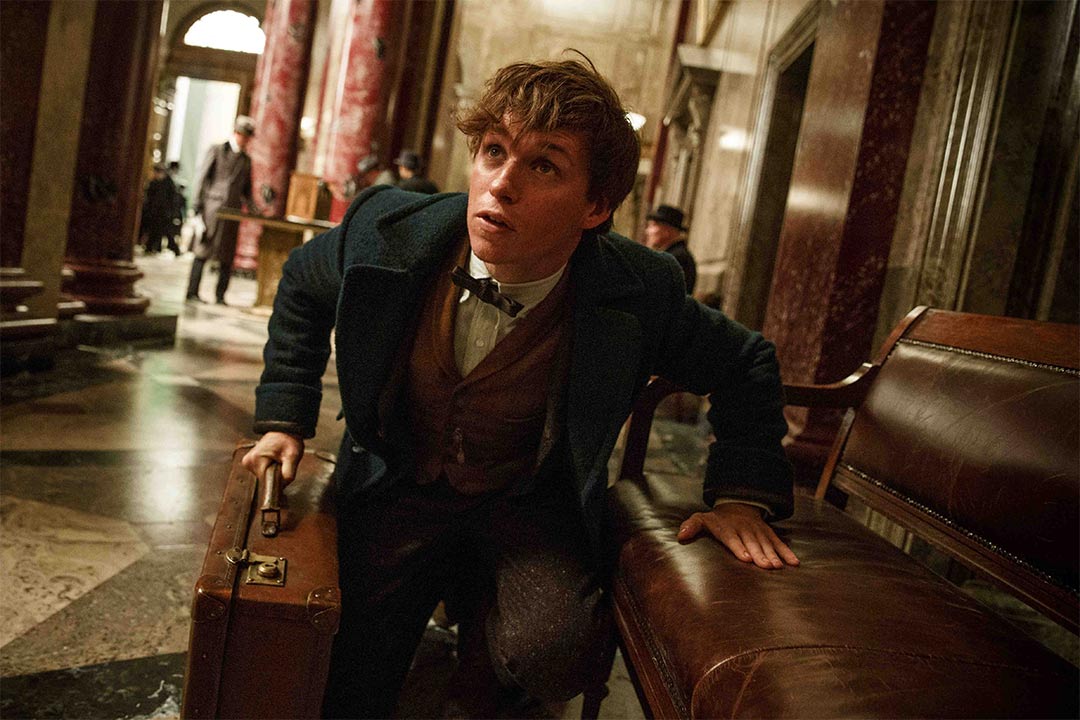 Fantastic Beasts and Where to Find Them Trailer Screencap