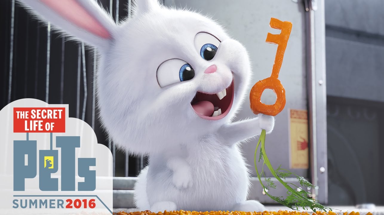 The Secret Life of Pets download the new version for mac