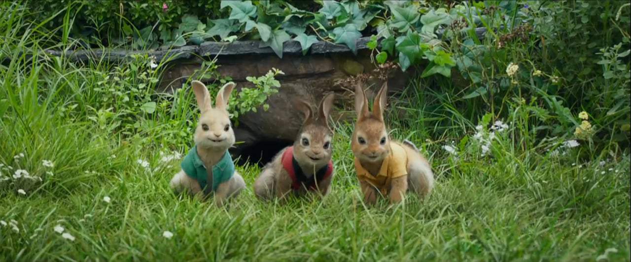 Peter Rabbit TV Spot - Versus (2018)