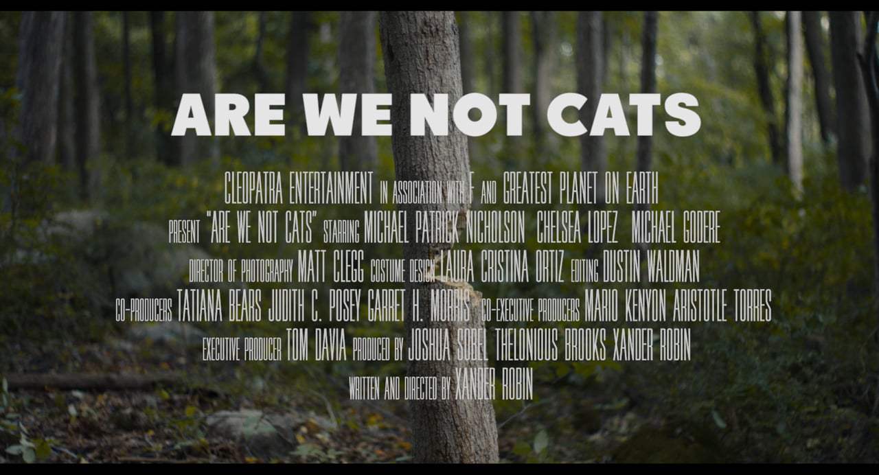 Are We Not Cats Theatrical Trailer (2016)