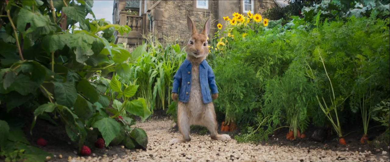 Peter Rabbit TV Spot - Pantless (2018)
