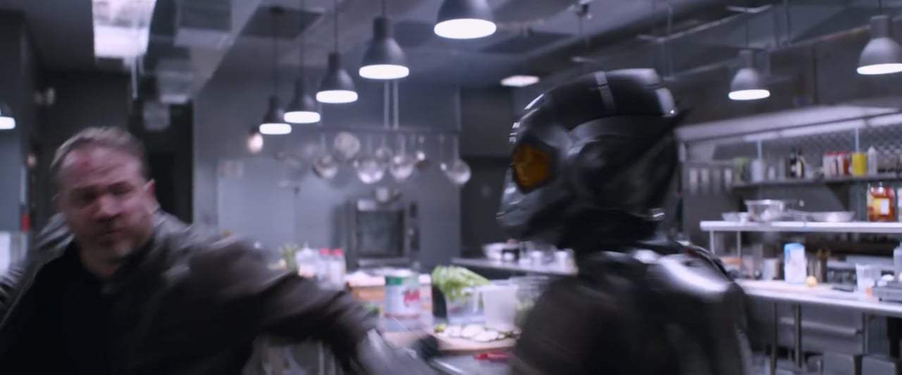 Ant-Man and the Wasp (2018) - Wings and Blasters