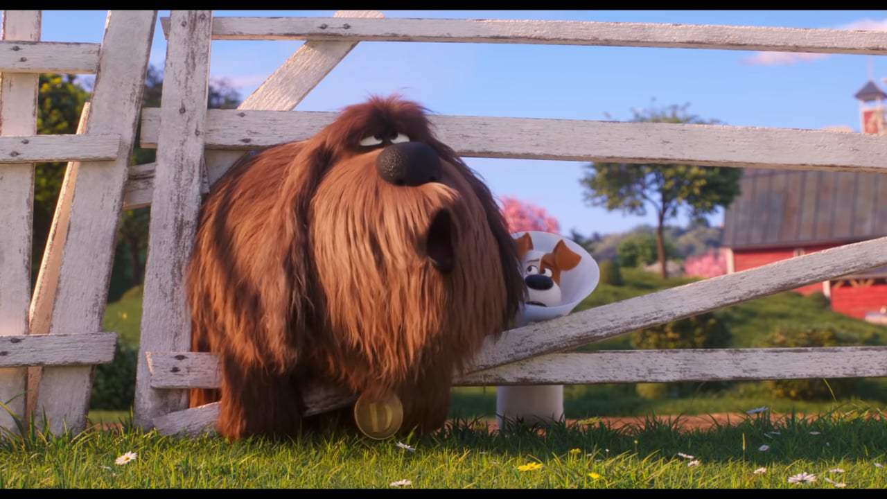 The Secret Life of Pets 2 Rooster Trailer (2019)