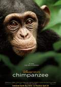 Chimpanzee (2012) Poster #1 Thumbnail