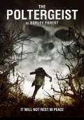The Poltergeist of Borley Forest (2013) Poster #1 Thumbnail