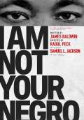 I Am Not Your Negro (2017) Poster #2 Thumbnail