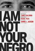 I Am Not Your Negro (2017) Poster #5 Thumbnail