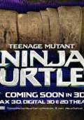 Teenage Mutant Ninja Turtles (2014) Poster #16 Thumbnail