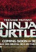 Teenage Mutant Ninja Turtles (2014) Poster #17 Thumbnail