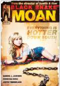 Black Snake Moan (2007) Poster #2 Thumbnail