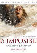 The Impossible (2012) Poster #4 Thumbnail