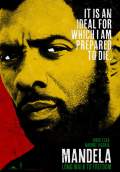 Mandela: Long Walk to Freedom (2013) Poster #1 Thumbnail