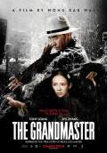 The Grandmaster (2013) Poster #1 Thumbnail
