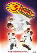 3 Ninjas Knuckle Up (1995) Poster #1 Thumbnail
