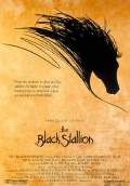 The Black Stallion (1979) Poster #1 Thumbnail
